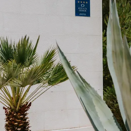Aurelia By Domus Mirus - Rooftop Cinema & Pool & 6 Minute Walk To ヴィラ *